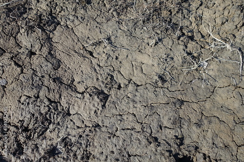 Cracked wet mud clay earth background. Texture of wet soil, top view.