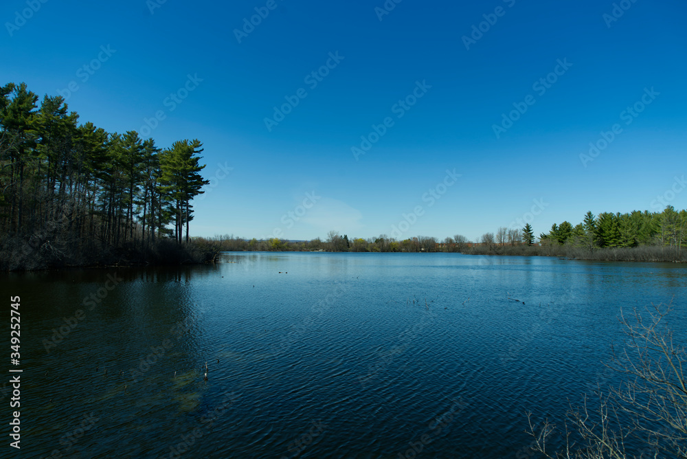 A lake on a spring day A lake on a spring day