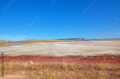Fototapeta Naklejka Na Ścianę i Meble -  Dry Salt Chokrak Lake in Crimea 