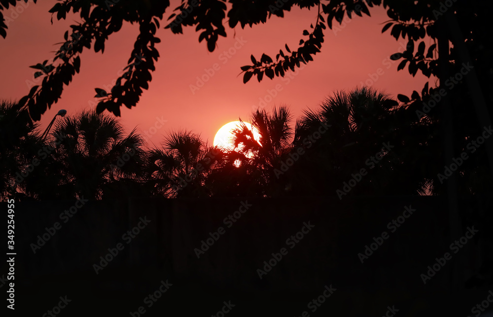 Dramatic red sunset as seen through a tropical garden in Florida. Dramatic red sunset as seen through a tropical garden in Florida.