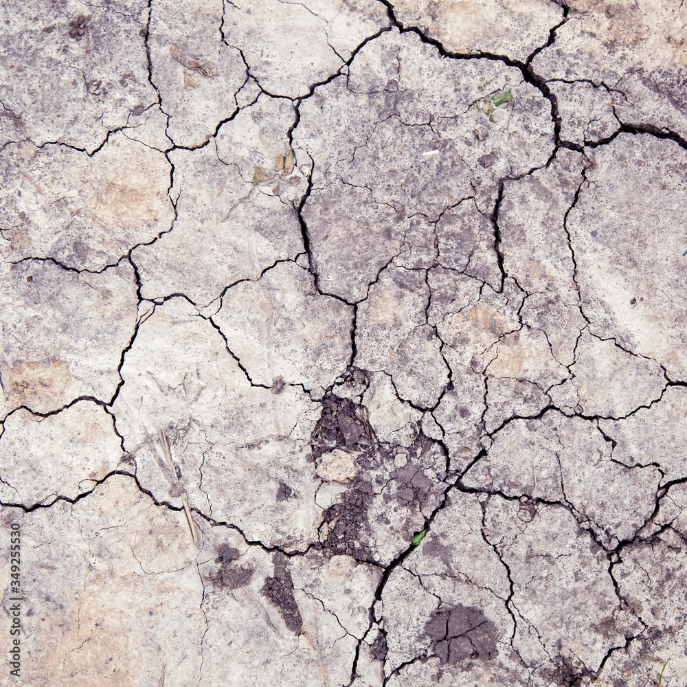 Close up cracks grunge texture earth background. Abstract dirty poster for design.