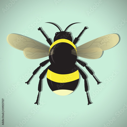 honey bee vector illustration eps 10