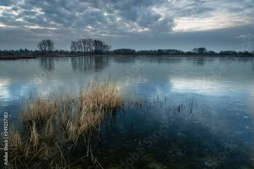 A beautiful shot of a frozen lake with dry reeds  trees on the horizon and evening sky