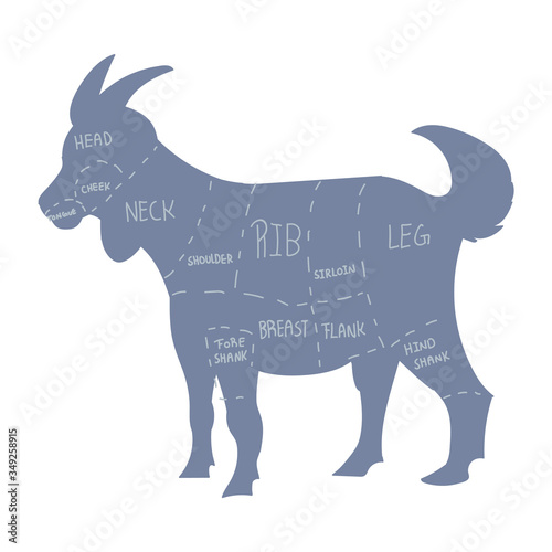 Cute french farmhouse goat vector butcher chart clipart. Hand drawn shabby chic style country farm kitchen. Illustration of chevon farm animal livestock ranch graphic. Horned graphic EPS 10. 