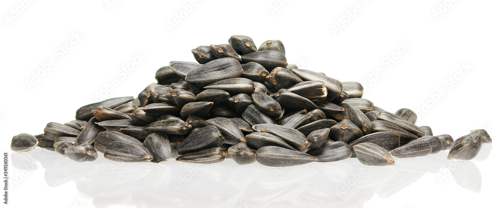 raw sunflower seeds isolated on white background raw sunflower seeds isolated on white background