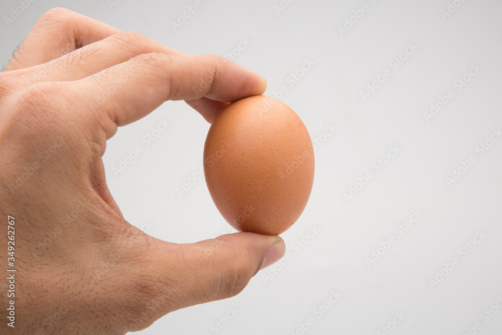 Single brown chicken egg isolated on white Single brown chicken egg isolated on white