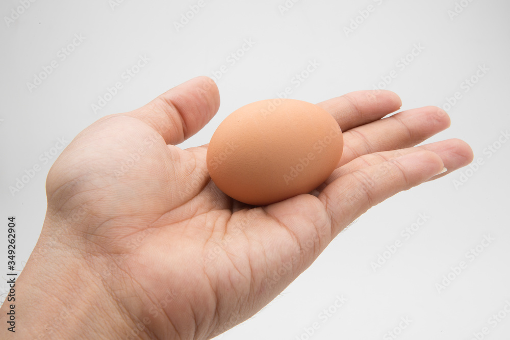 Single brown chicken egg isolated on white