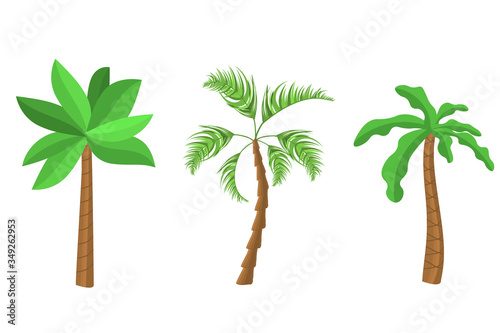 Decorative palm trees icons set. Flat cartoon palms on white background. Miami trees  coconut palm or exotic hawaii forest green tree.