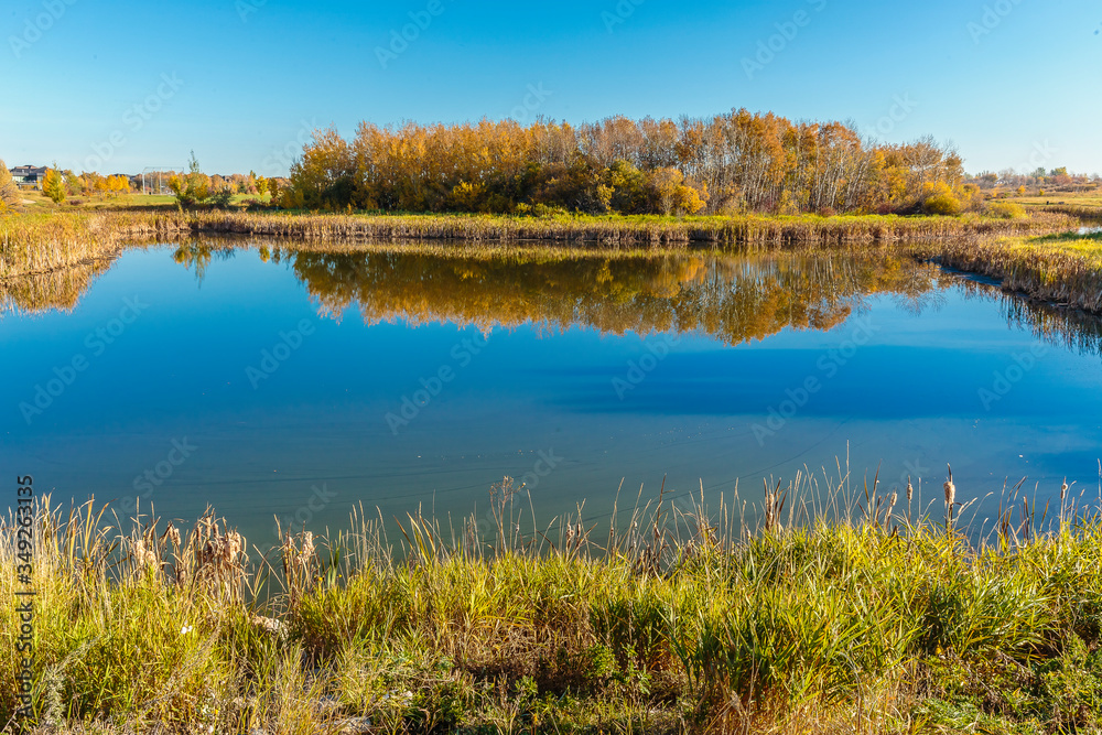 Fototapeta premium Donna L. Birkmaier Park