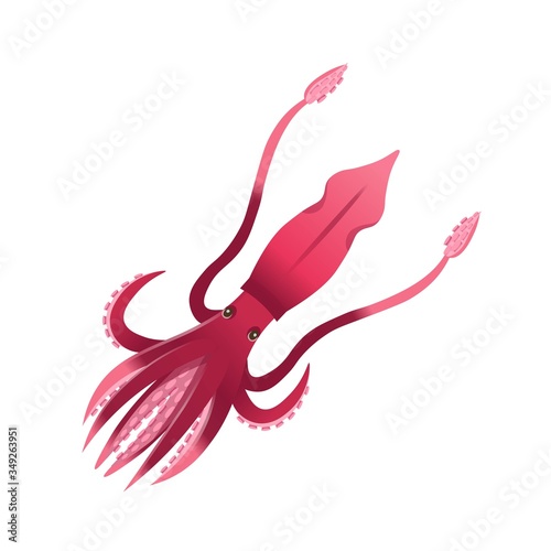 Cartoon a squid on a white background. Vector illustration. photo