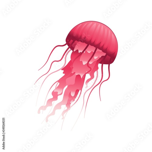 Cartoon a jellyfish on a white background. Vector illustration.