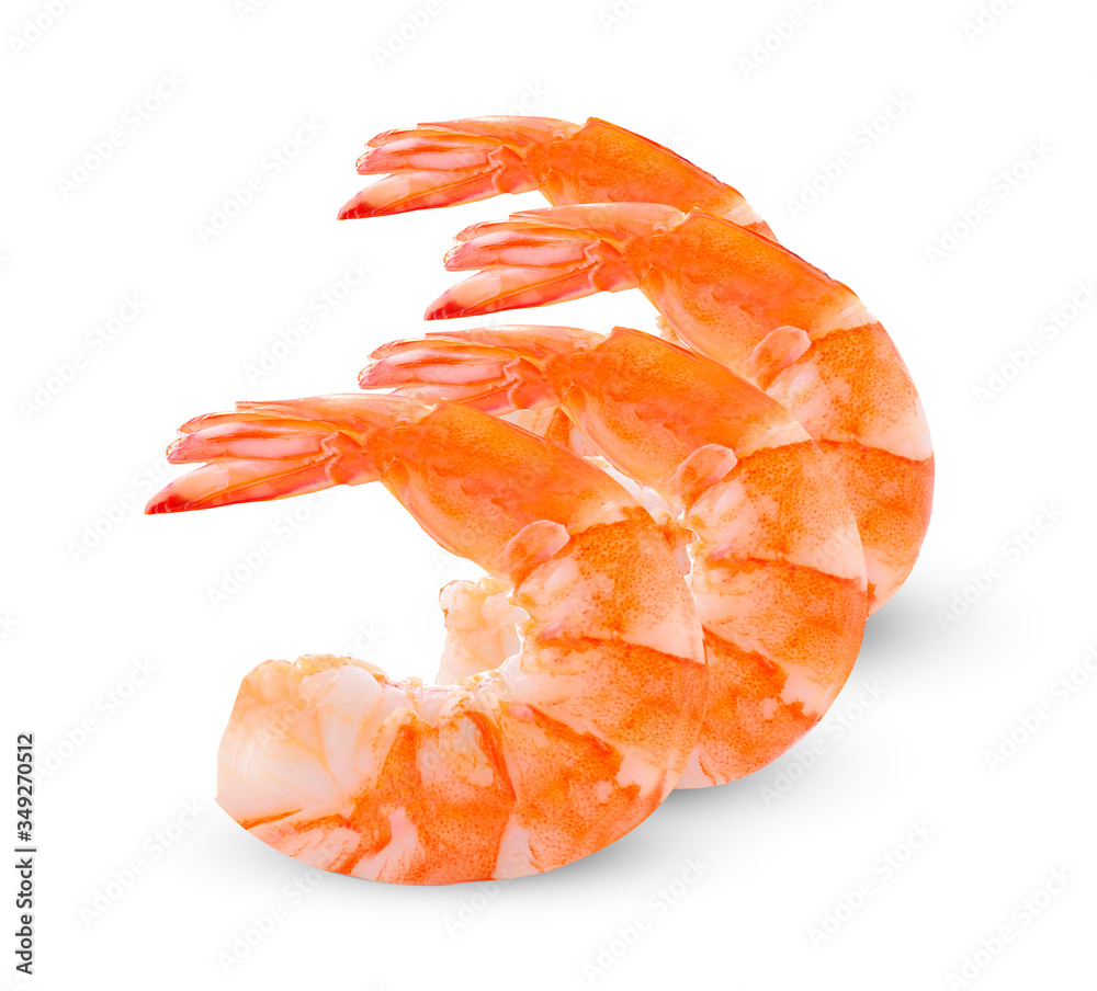 Shrimp isolated on white background Shrimp isolated on white background