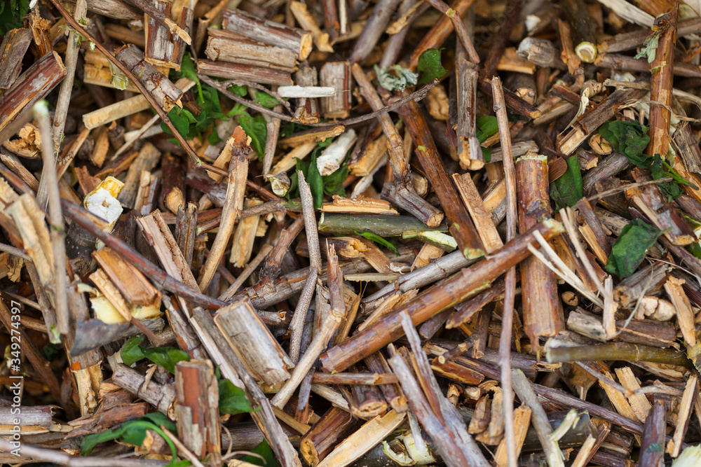 wood chips ground tree branches for mulching garden soil wood chips ground tree branches for mulching garden soil