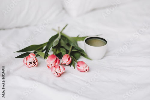 Coffee cup and tulips in bed. Concept of holiday  birthday  Women Day. Breakfast in bed. Good morning. still life  flat lay