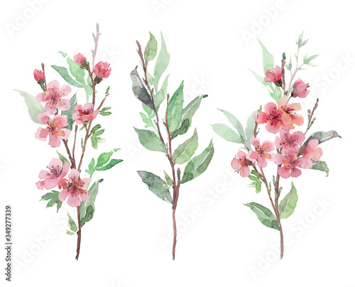 Set of watercolor pink blooming branches. Cherry, apple blossom