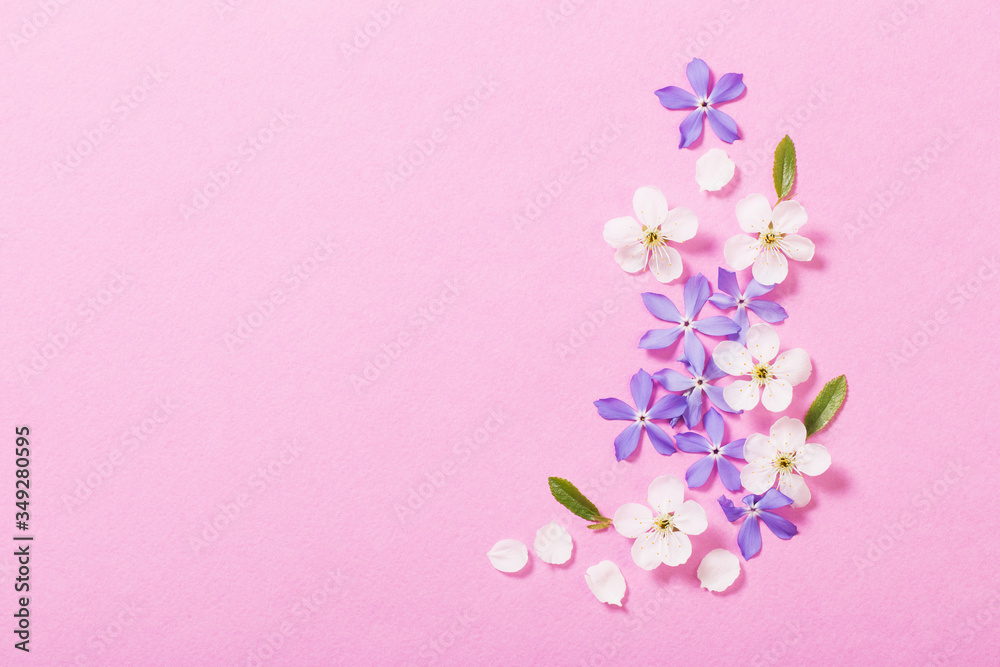 spring  flowers on pink background