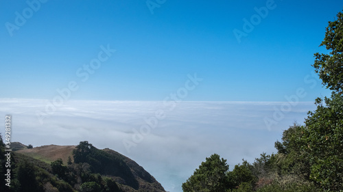 sea of mist over the forest  california