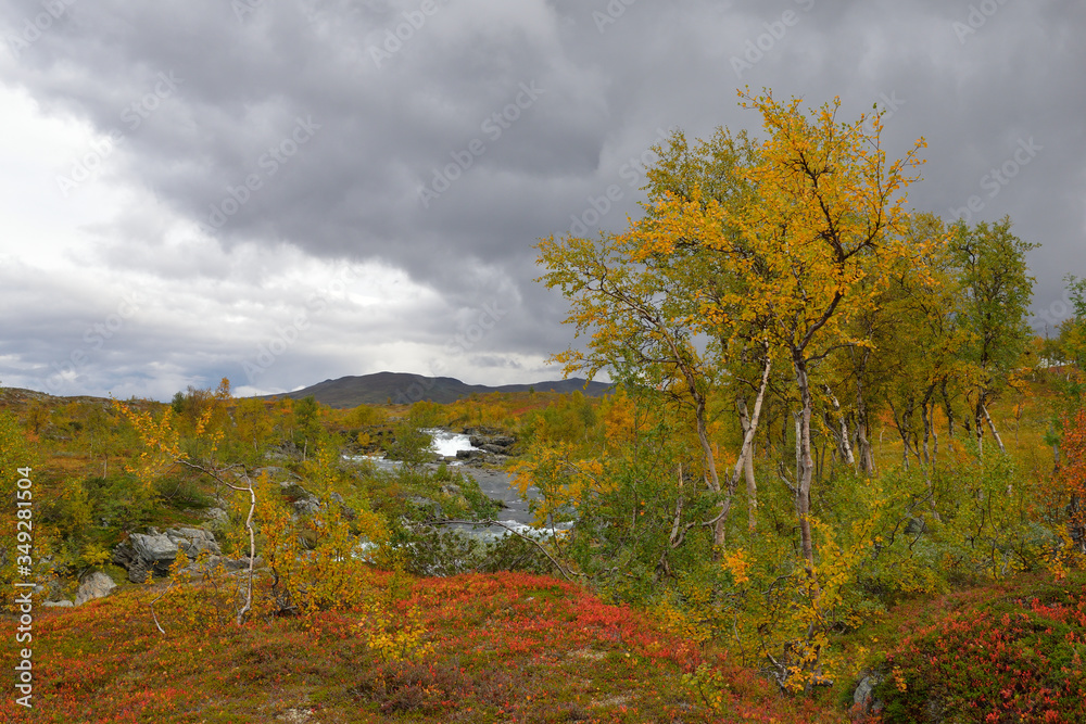 Auf der Wildnisstraße (schwedisch Vildmarksvägen) entlang der Schwedisch-norwegischen Grenze Auf der Wildnisstraße (schwedisch Vildmarksvägen) entlang der Schwedisch-norwegischen Grenze