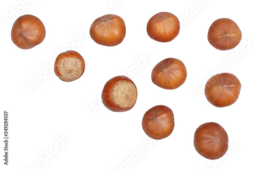 Wallpaper Mural Hazelnuts isolated on white background, top view Torontodigital.ca