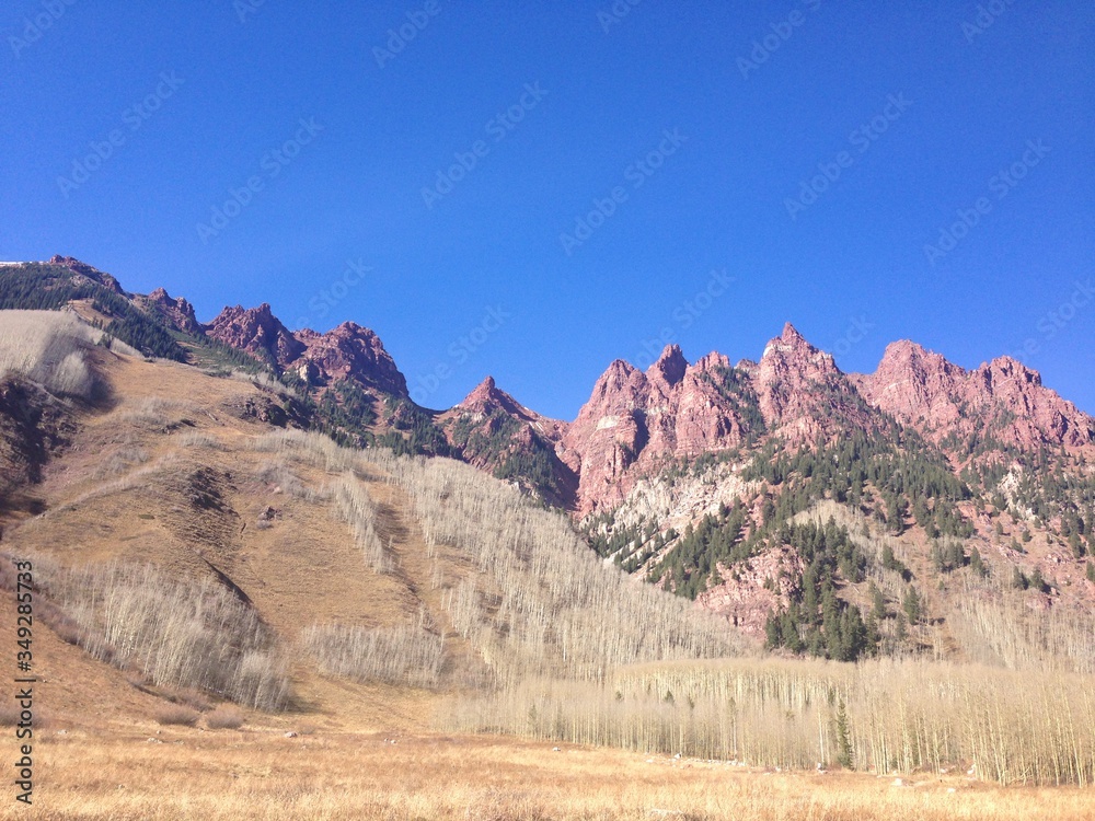 Mountains with Field in Colorado Mountains with Field in Colorado