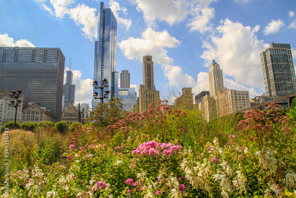 Skyscrapers of Chicago with flowers