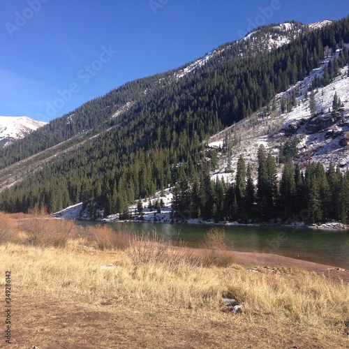 Trees and Snow on a Mountain with a River
