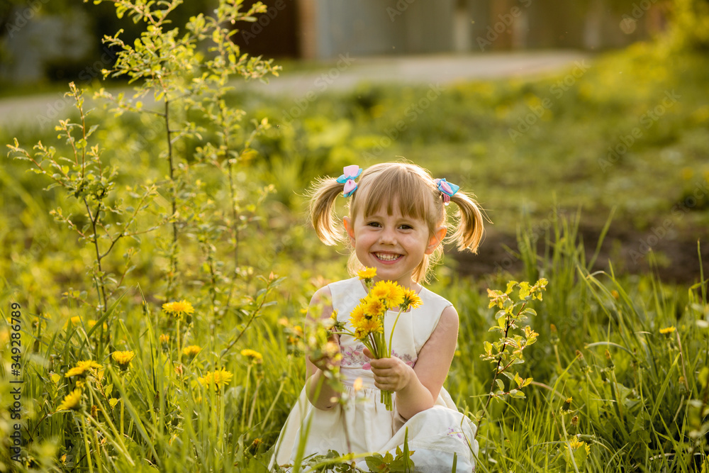 A portrait of a cheerful little girl posing in the field of dandelions. A portrait of a cheerful little girl posing in the field of dandelions.