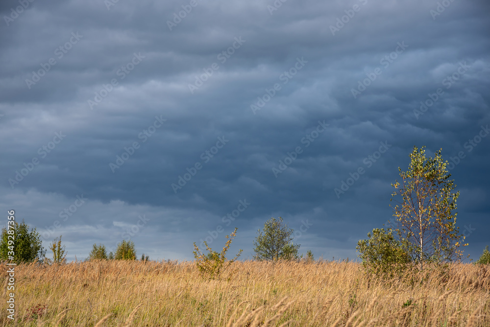 Sky with thunderclouds above the field