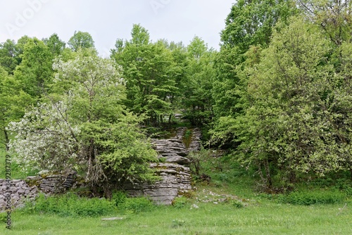 Griechenland - Nationalpark Vikos-Aoos - Steinwald bei Monodendri photo