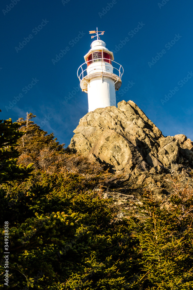 Lobster Cove Head lighthouse. Gros Morne National Park, Newfoundland, Canada