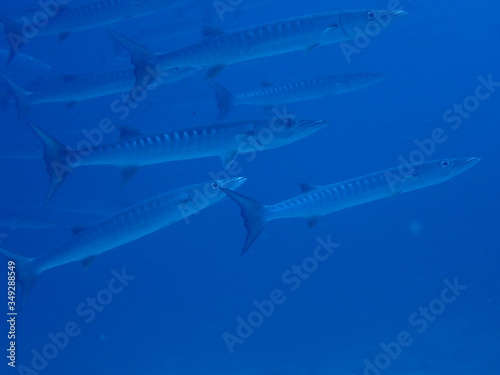 Traveling on the seabed of Thailand