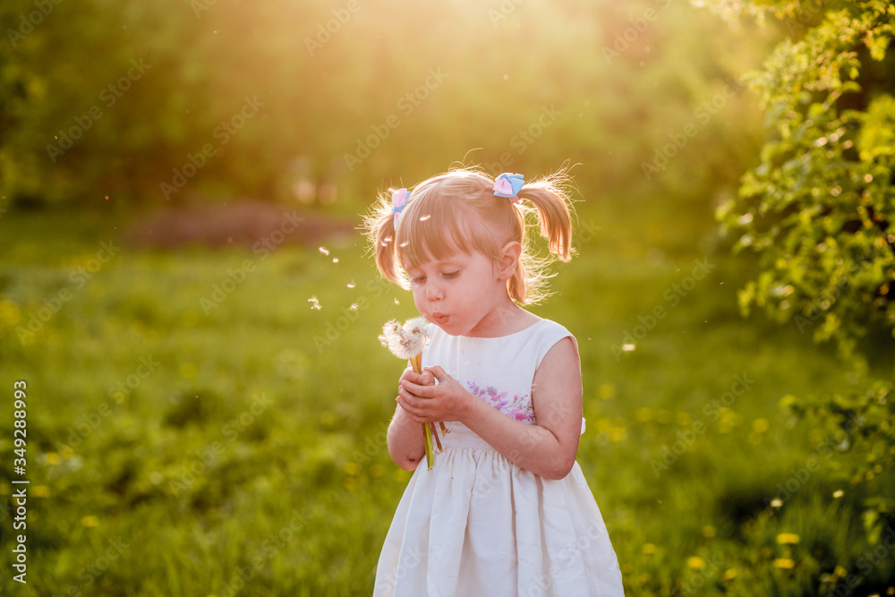A portrait of a cheerful little girl posing in the field of dandelions. A portrait of a cheerful little girl posing in the field of dandelions.
