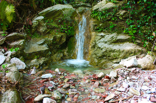 Billede på lærred a trickle of cold stream between the greenery and the stones