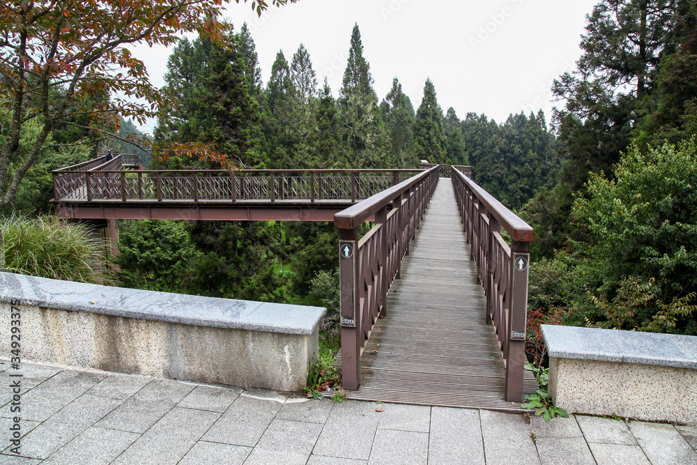 The wood sky walkway in alishan national park at taiwan.