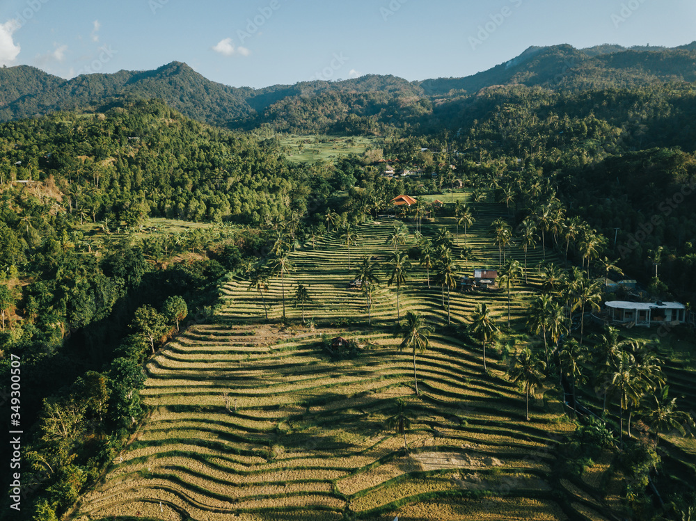 Aerial view from the drone on rice terraces of Bali. Green rice fields with huts around.