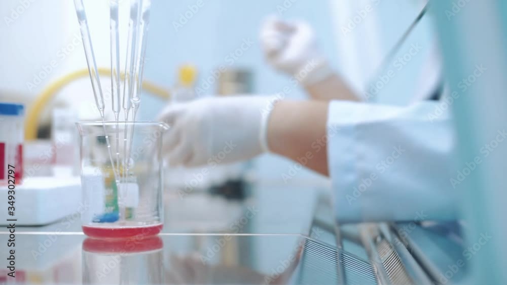 scientist using dropper pipette transfer sample in Biosafety cabinet scientist using dropper pipette transfer sample in Biosafety cabinet