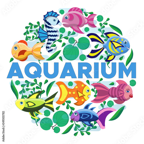 Aquarium. A set of elements. Isolated on white background. Vector illustration.