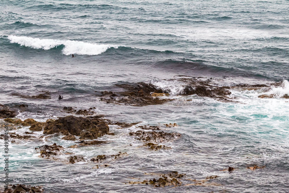 Fototapeta premium Katiki point. Pacific Coast, New Zealand