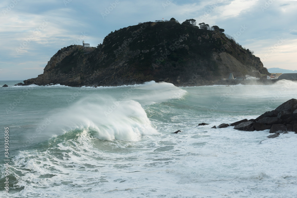 Fototapeta premium Raton