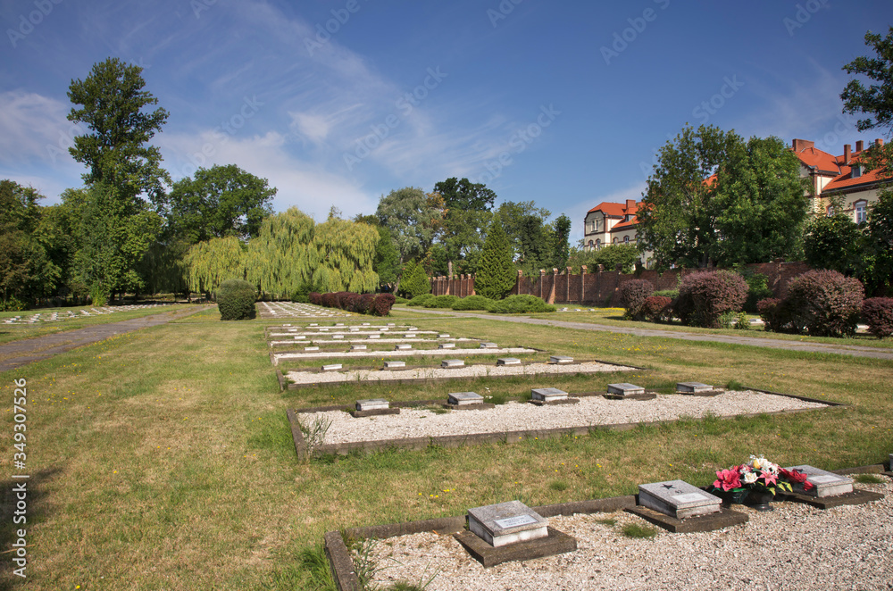 Cemetery of Soviet soldiers in Zary. Poland