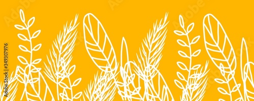 golden wheat background