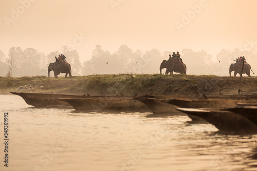 Photography Chitwan National Park, Nepal - November 21, 2017