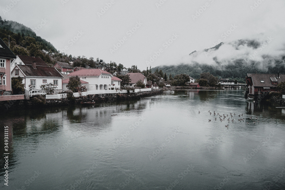 Fototapeta premium Fiordo noruegos, noruega