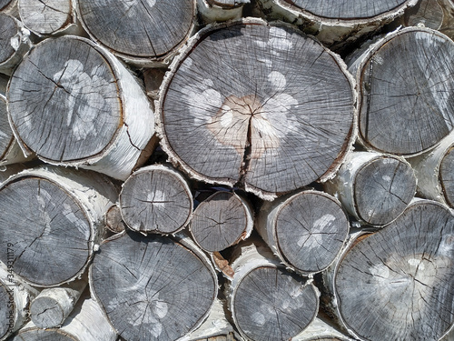 Sawn logs of birch tree lies on each other. The woody structure is visible on dried and slightly cracked cuts. Textured background. Logging Theme.
