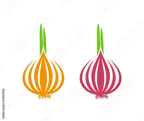 Onion logo. Isolated onion on white background
