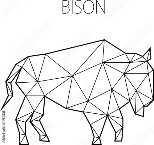 Vector illustration of bison in low poly style. Polygonal design. Bison's silhouette.