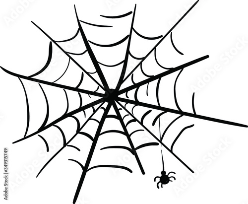 A spider on a web. Vector black and white illustration. Sketch on white background