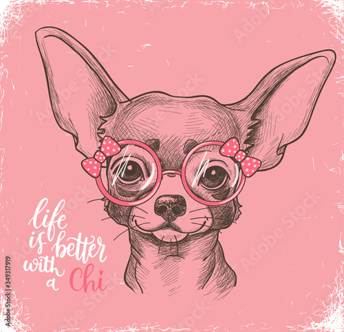 Girl Chihuahua illustration print. Cute fashionable dog vector sketch.
