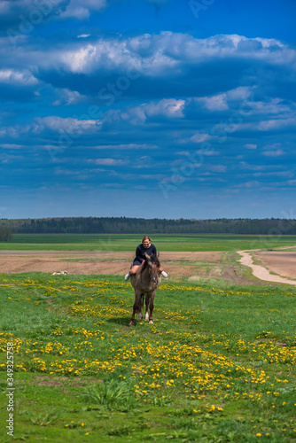 Beautiful young girl rides a horse on a field in summer.