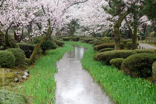 Rainy view from Kenrokuen garden in Kanazawa, Japan.